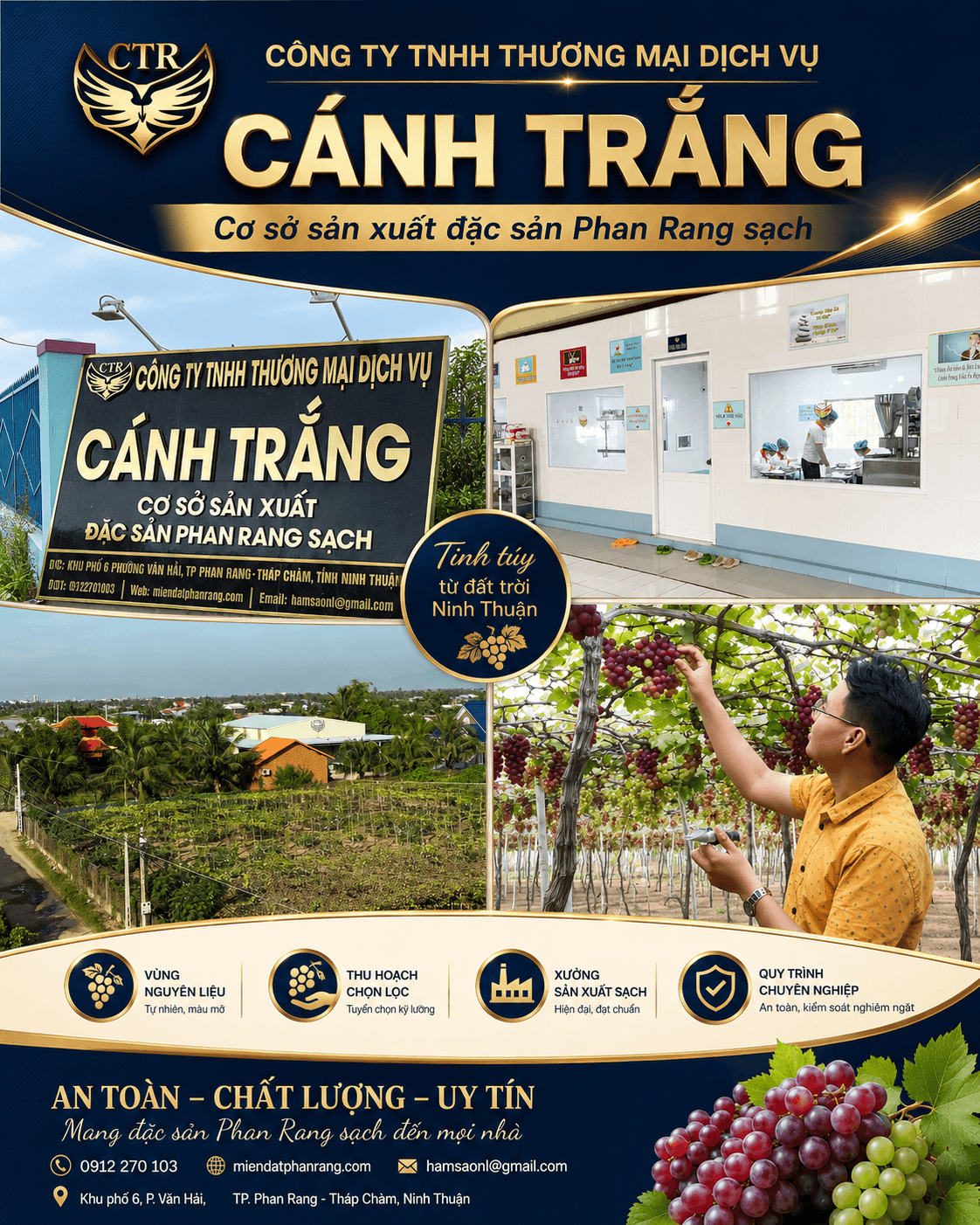 Vườn táo Ninh Thuận